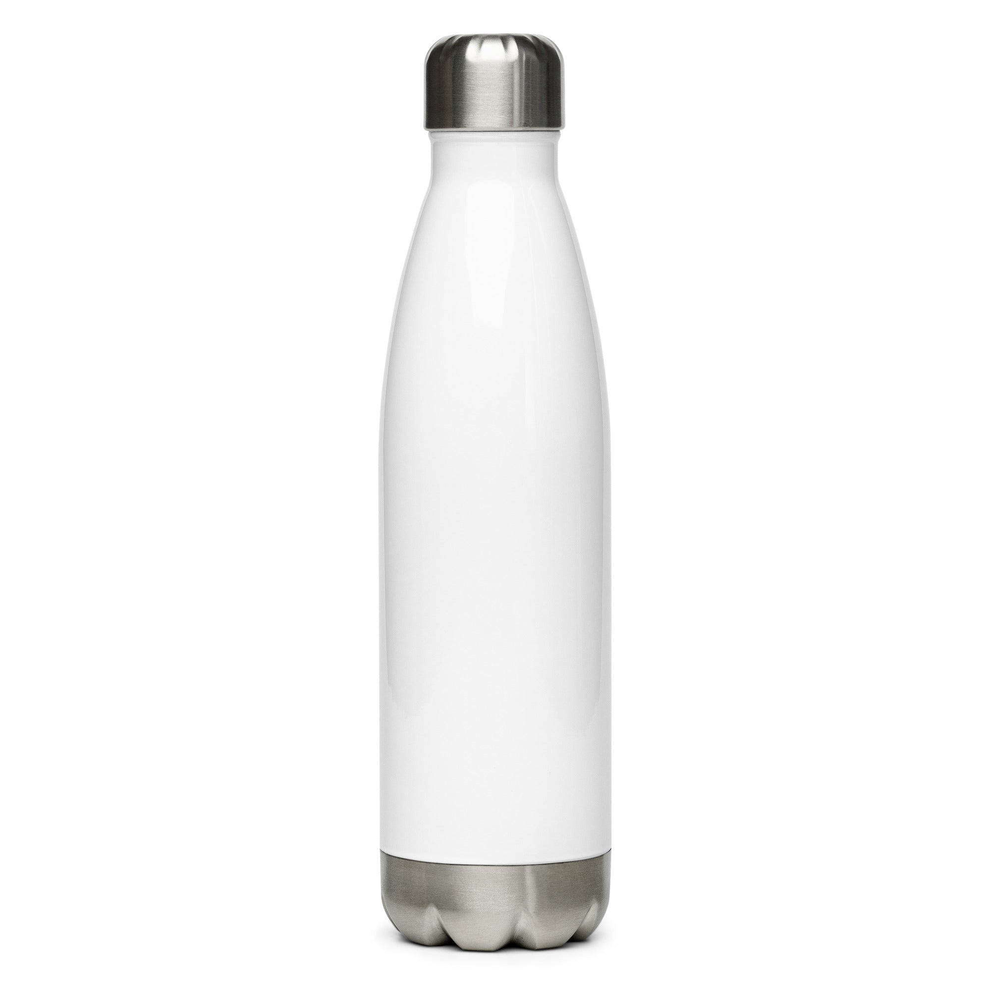 HBNaturals 17 ounce Stainless steel water bottle