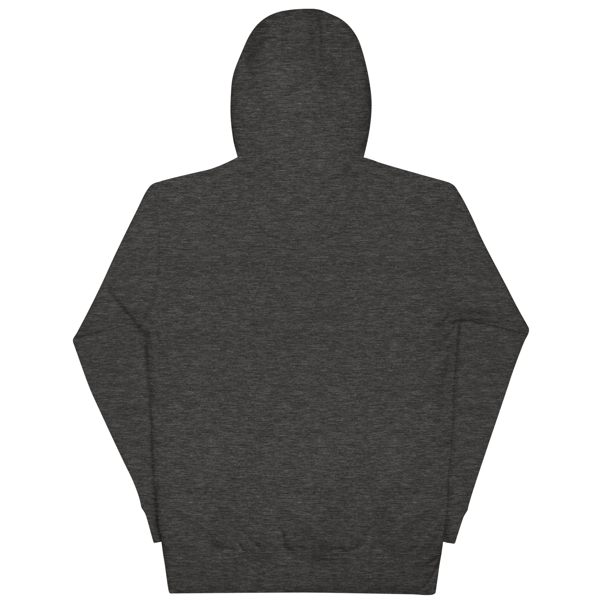 More Income or Less Income Unisex Hoodie