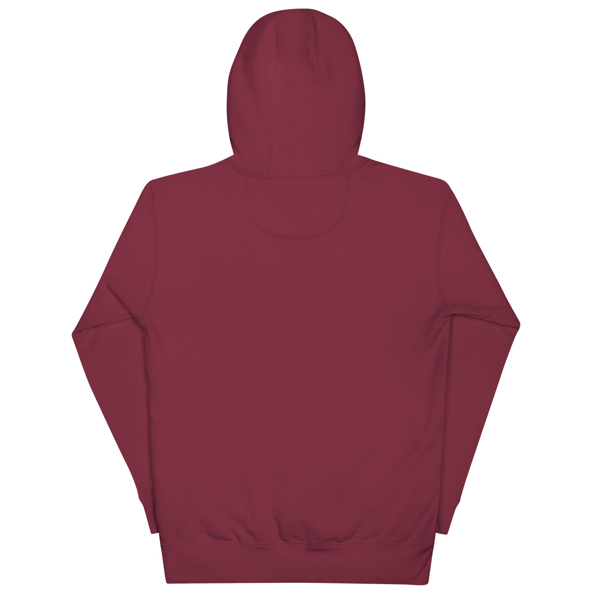 More Income or Less Income Unisex Hoodie