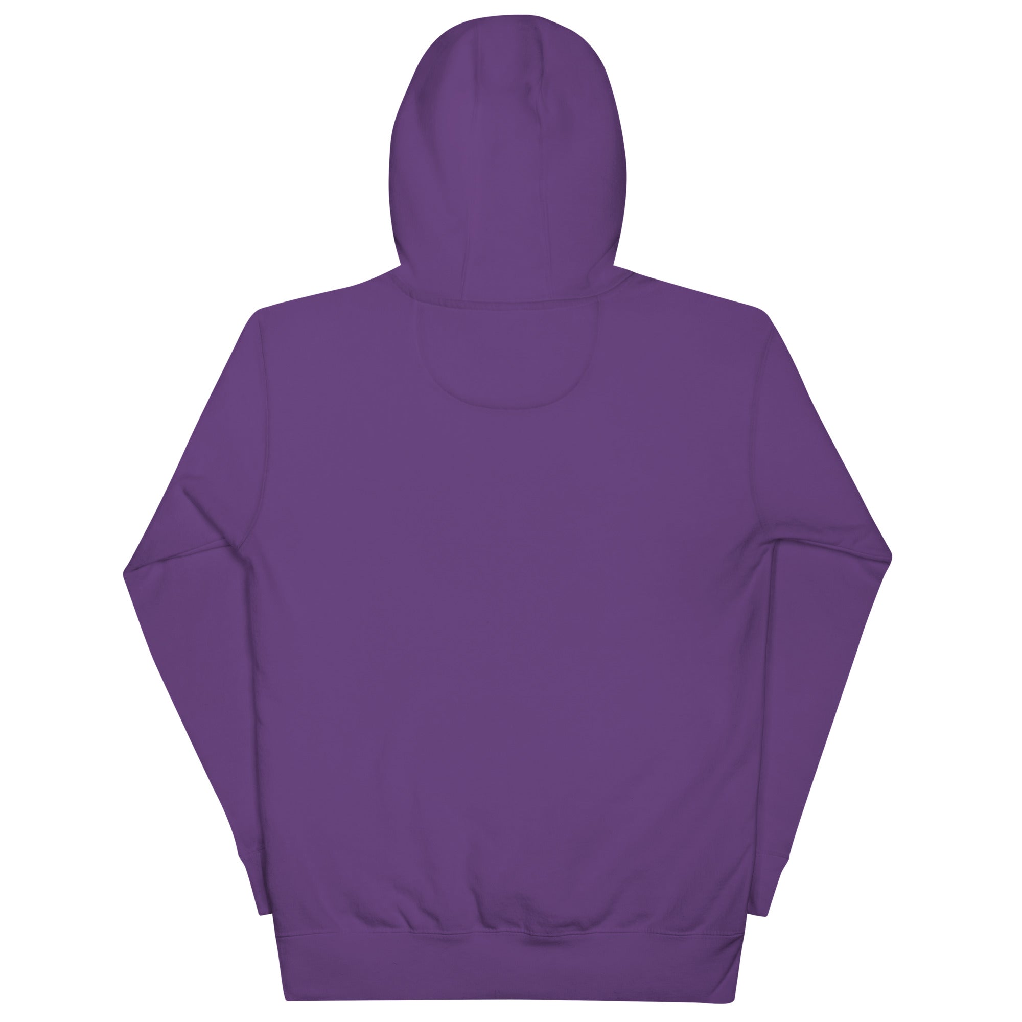 More Income or Less Income Unisex Hoodie