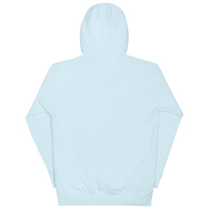 More Income or Less Income Unisex Hoodie