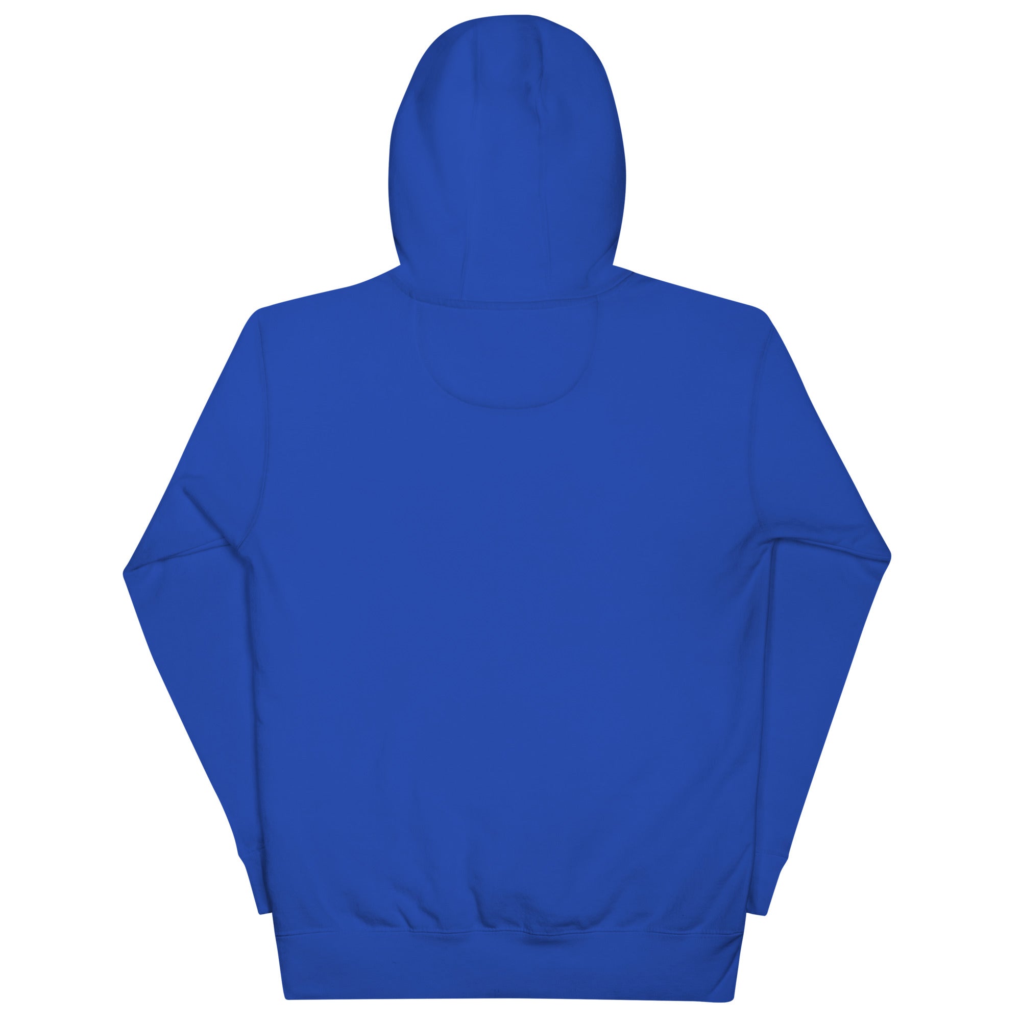 More Income or Less Income Unisex Hoodie