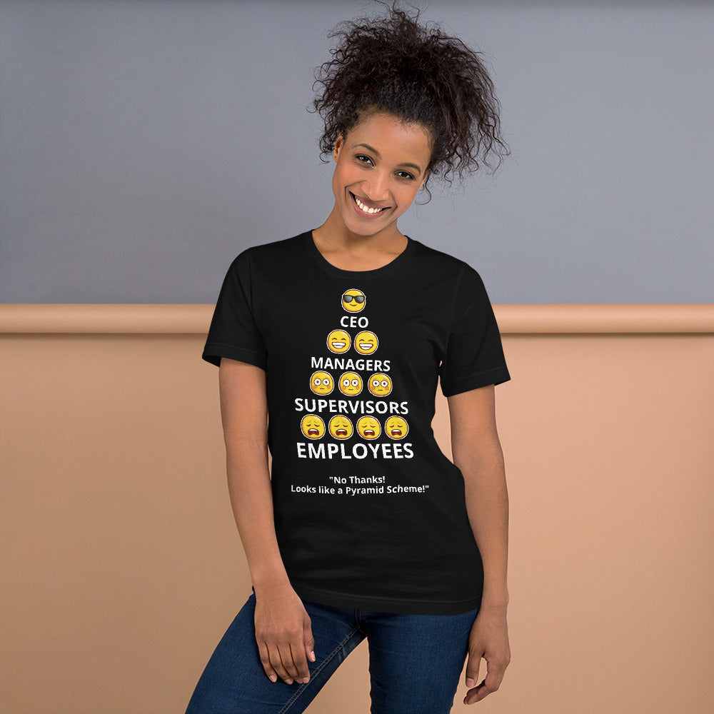 Looks Like A Pyramid Scheme Unisex T-Shirt (Front and Back Print)