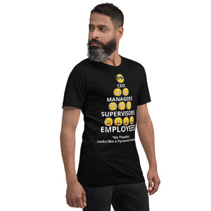 Looks Like A Pyramid Scheme Unisex T-Shirt (Front Print)
