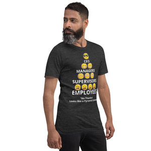 Looks Like A Pyramid Scheme Unisex T-Shirt (Front Print)