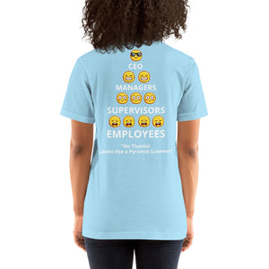 Looks Like A Pyramid Scheme Unisex T-Shirt (Back Print)