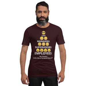 Looks Like A Pyramid Scheme Unisex T-Shirt (Front Print)