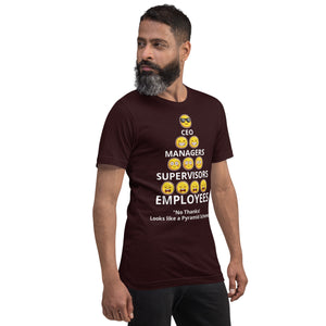 Looks Like A Pyramid Scheme Unisex T-Shirt (Front Print)