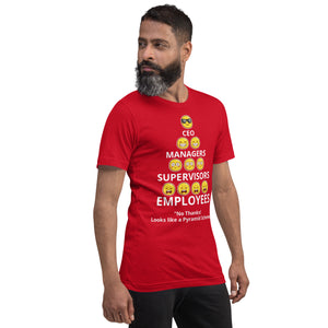 Looks Like A Pyramid Scheme Unisex T-Shirt (Front Print)