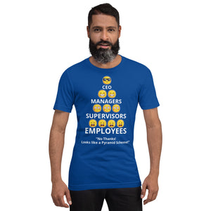 Looks Like A Pyramid Scheme Unisex T-Shirt (Front Print)