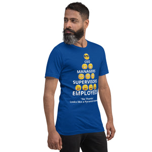 Looks Like A Pyramid Scheme Unisex T-Shirt (Front Print)